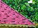 SUMMER HOUSES: FITTED SUMMERHOUSES and DIY SUMMERHOUSES - Straight or scalloped fascias